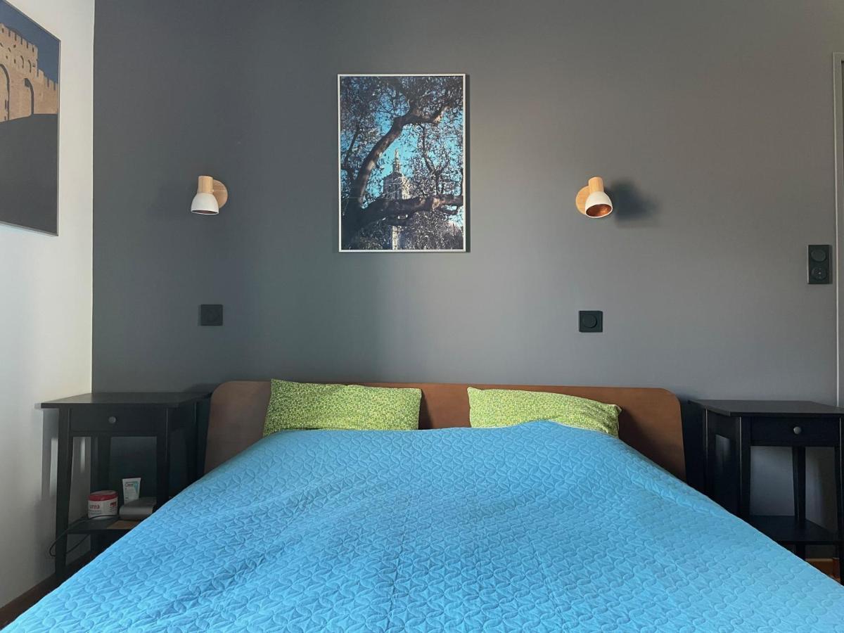 L'Atypique - T3 Grande Terrasse, Bbq Vue Et Cheminee Apartment Avignon Ngoại thất bức ảnh